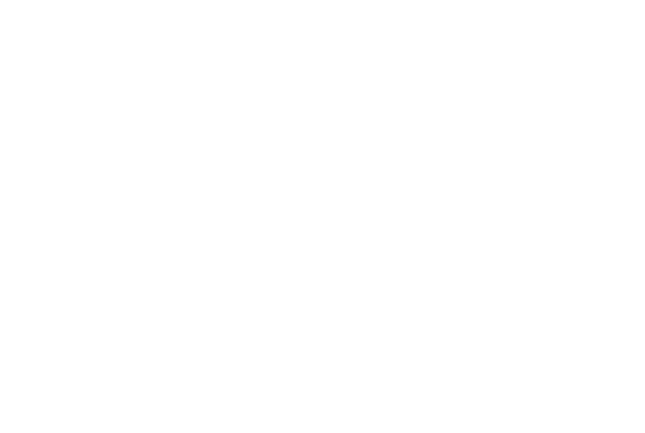 Logo Fundación vivir más feliz